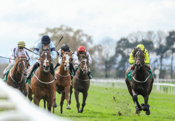 Monday 24th June – Afternoon Racing